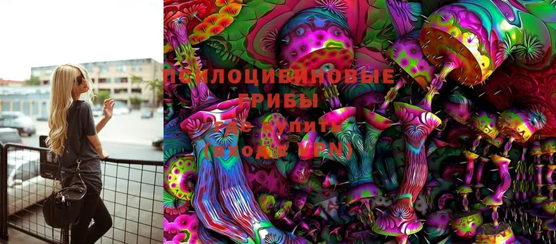 Псилоцибиновые грибы Magic Shrooms  Сарапул 